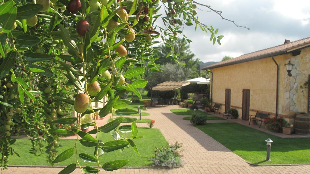 Bed & Breakfast Podere Turicchio *